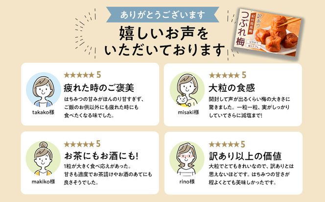 紀州南高梅 塩分約2.7% 大粒 訳ありつぶれ梅 はちみつ梅 400g×3個 1.2kg 減塩梅干し 紀州梅本舗【大粒 つぶれ梅 南高梅 ワケあり 梅干し お漬物 和歌山県 白浜町】 304018_DG01