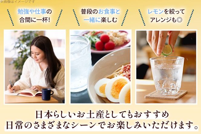 サイダー 東海道サイダー 340ml × 10本 [翔栄通商 静岡県 吉田町 22424717] 炭酸 炭酸飲料 瓶 ソーダ 浮世絵 ご当地サイダー 木村飲料
