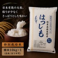 【令和7年産】特別栽培米 10kg【白米、7分ツキ】（ハツシモ）