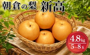 梨 新高 4.8kg 2027年 発送 筑前あさくら農協 配送不可 離島