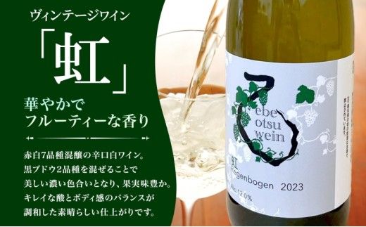 えべおつWein 2023年ヴィンテージワイン 虹 750ml 1本 酒 辛口 北海道 滝川市
