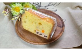 1195.【定期便12ヶ月】鳥取県産 季節限定スイーツ 小僧ロップのシフォンケーキ オレンジ 6個×12回 313726_BD076