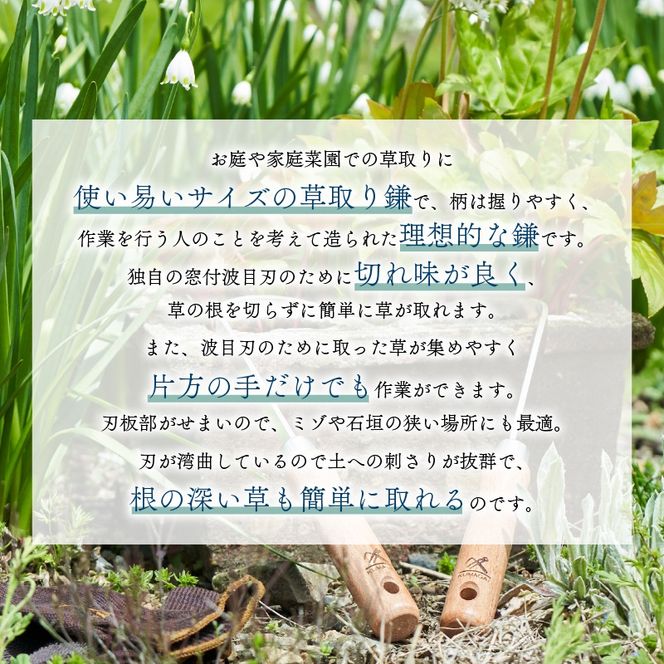ギフト用 ステンレス 草取り カギカマ [右手用] [左手用] 各1本 計2本 道具 かぎかま 右手用 左手用 鎌 草刈り 草刈 ガーデニング 園芸 庭 手入れ 家庭菜園 園芸用品 日用品 掃除 日本製 鍛冶屋 [kumagai007]