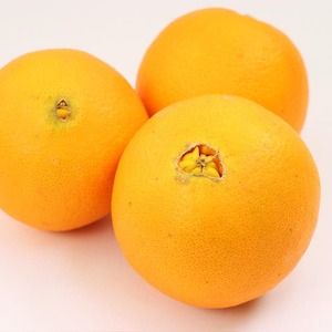 ＜2月より発送＞厳選 ネーブルオレンジ7.5kg+250g（傷み補償分）【光センサー選別】 ※北海道・沖縄・離島への配送不可 ※2026年2月上旬～2月下旬頃に順次発送予定