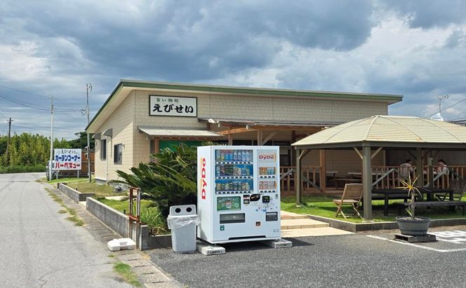 えびせい　お食事券10,000円分　チケット 食事券 海鮮 海の幸 刺身 エビ はまぐり アジフライ テラス席 ペット可 片貝海岸 千葉県 九十九里
