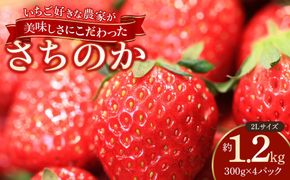 おいしさにこだわった いちご 苺 さちのか 300g × 4パック 合計 1.2kg 2L サイズ 江川農園 BM02
