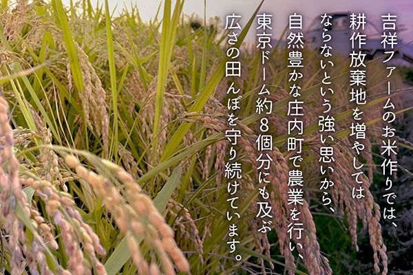 【新米受付】令和8年産 特別栽培米 つや姫 5kg 吉祥ファーム 5kg×1袋 2026年産 ブランド米 米 国産 単一原料米 山形 庄内平野 コシヒカリの原点、亀の尾発祥の地 庄内【R8.10月以降発送開始/入金期限：2026年9月15日】