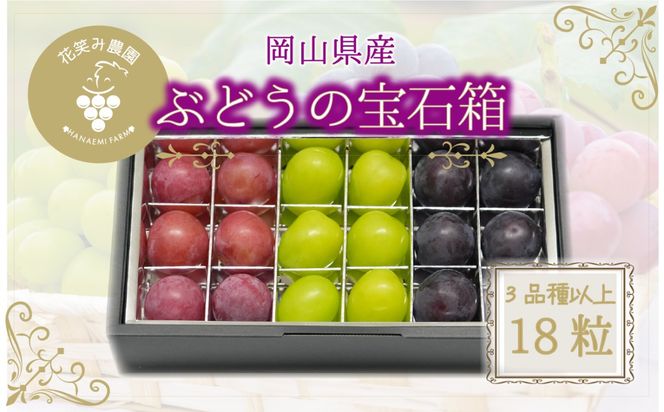 【2026年先行予約】花笑み農園　岡山『ぶどうの宝石箱』３種以上（18粒入り） 【hana050-02】