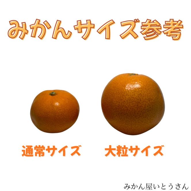 家庭用 大粒有田みかん 2kg (約14個～16個) DJ047