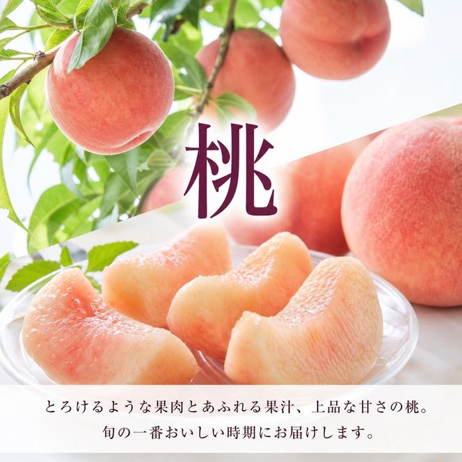 全3回 フルーツ定期便（桃7月、梨8月、ピオーネ9月発送）｜ 和歌山県産 モモ ナシ ぶどう 旬 果物