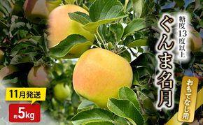 りんご【11月発送】糖度13度以上 ぐんま名月 おもてなし品  約5kg【青森りんご】