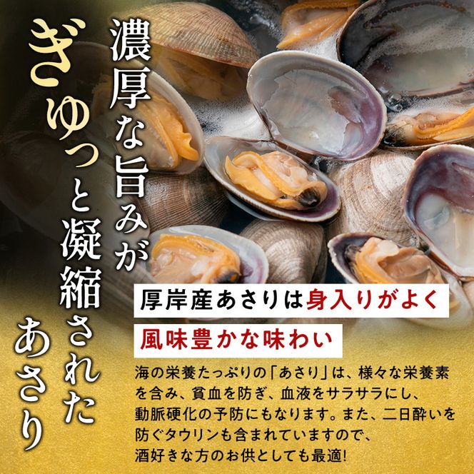 あさり 訳あり 北海道 厚岸産 砂出し済み 活あさり 500g×2 (合計1kg) 【厚岸海産】[ アサリ 魚貝 海鮮 大粒 美味しい 栄養 旨み 砂出し 水洗い 冷蔵 便利 ] 