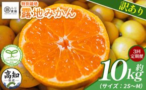 【3回定期便】ふじ農園の露地みかん 訳あり品 10kg(2S～M) 5kg×2箱 計10kg 国産 小玉 蜜柑 ミカン 柑橘 果物 フルーツ 訳アリ ご家庭用 自宅用 ふじ農園 高知県 香南市 Wfn-0024