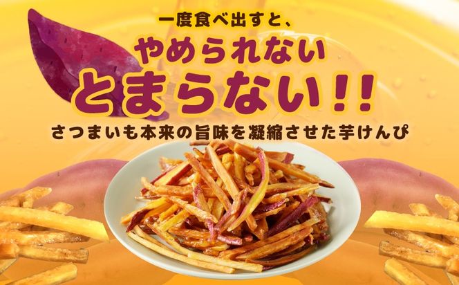 099H4069 【期間限定】芋匠さのやの大人気お芋スイーツセット（お芋チップス/芋けんぴ）＋芋けんぴ小50g付き