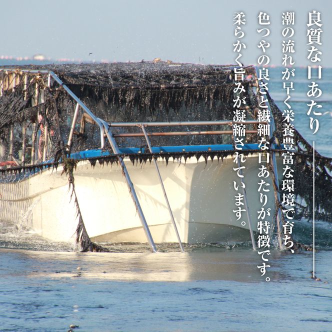小浅謹製 バター風味のり（兵庫県産）8切×80枚（板のり10枚）×5袋　[味付けのり]