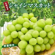 【数量限定】シャインマスカット 1.2kg 農家直送（ぶどう 葡萄 高級フルーツ 甘い 高糖度 ジューシー みずみずしい 芳醇 数量限定 期間限定 旬の果物 人気返礼品 )