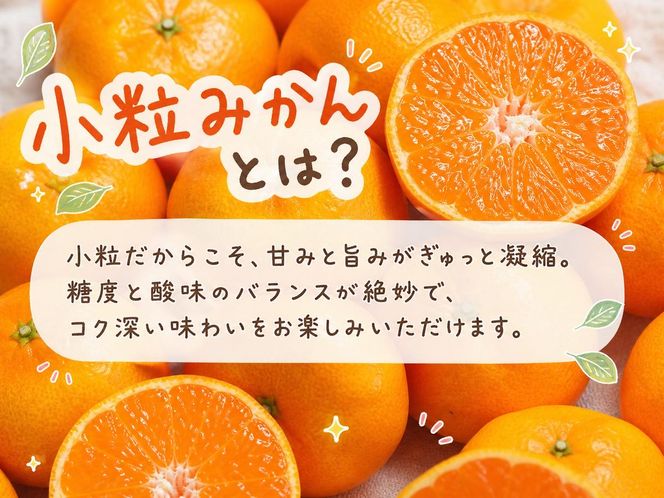 【先行予約】有田の小粒みかん5kg(S～3Sサイズ混合)◇｜みかん ミカン 柑橘 果物 くだもの フルーツ 甘い 小粒 先行予約 国産 濃厚 絶妙 糖度 酸味 産地直送 美浜町