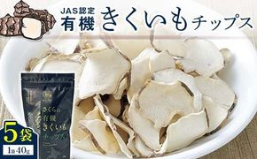 菊芋チップス　5袋入り 北海道産 n-0081