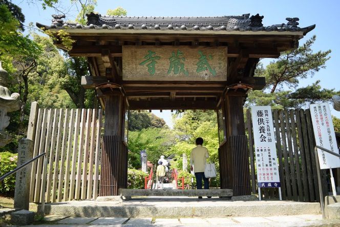 手羽先餃子 博多とんこつ味 10本 博多しょうゆ味 10本 計 20本 [大雅 福岡県 筑紫野市 21761456] 九州 おつまみ おかず ぎょうざ 手羽先 冷凍