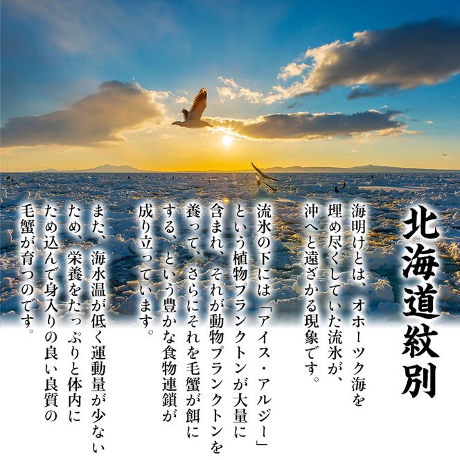 20-269 【甲羅組】北海道産　ボイル毛蟹