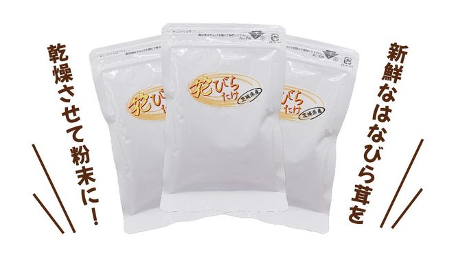 花びらたけ 粉末 3袋 セット（各 50g ） （茨城県共通返礼品：城里町） 花びら茸の粉末 ハナビラタケ 野菜 乾燥 花びらたけ きのこ パウダー 手軽 時短 [DY008us]