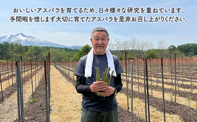 先行予約 2026年 春アスパラガス 約1kg L～2L 混合 斎藤農園 野菜 アスパラガス 栄養豊富 ほんのり甘い 肉質しっかり あっさりとした食味  おつまみ 料理 お弁当 食材 青森県 鰺ヶ沢町