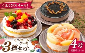 フルーツ / チョコムース / レアチーズ ホールケーキ 3種 冷凍 糸島市 / 五洋食品産業 [AQD017] お祝い バースデー クリスマス 誕生日ケーキ 冷凍ケーキ 詰め合わせ