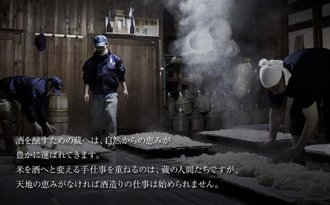 美丈夫 大吟醸 薫 720ml×2本 加東市特A地区 東条産山田錦使用 化粧箱入[ フロンティア東条 濱川商店 日本酒 酒 お酒 四合瓶 贈答品 ] 大吟醸酒 