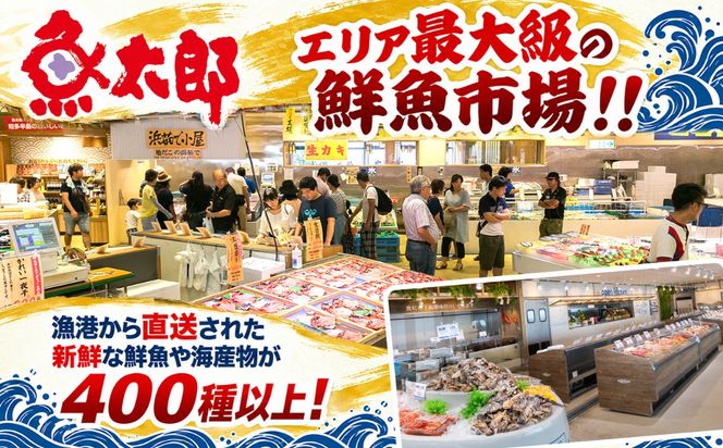 【魚太郎知多本店】商品券1万円分 魚太郎 ふるさと納税 海鮮 刺身 干物 ひもの バーべキュー 愛知県 美浜町※ゆうパックにて配送 ※2025年10月より利用方法が変わりました 〇