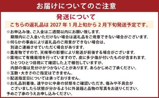 【先行受付】特別栽培ポンカン 10kg サイズミックス 柑橘 ポンカン ぽんかん フルーツ 果物 果実 九州産 熊本県 上天草市【2027年1月上旬から2月下旬発送予定】