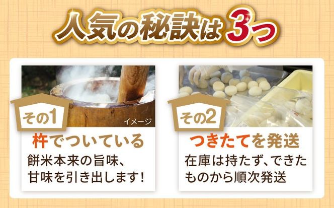 築上町産 本格 杵つき 生もち 20個 (10個×2パック)《築上町》【アルク農業サービス合同会社】 餅 お餅 もち[ABAB007]