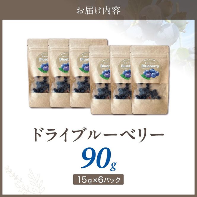 【無添加・砂糖不使用】農家が本気で作ったドライブルーベリー（15g×6パック） ドライフルーツ 乾燥 自然派 シンプル やさしい 甘酸っぱい H164-014
