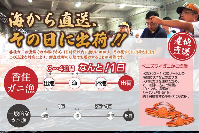 【活香住ガニ 約1kg×2匹 冷蔵】令和8年2月以降、順次発送予定 香住漁港 新鮮 香住ガニ かに カニ 蟹 紅ズワイガニ 紅ずわいがに 紅 新鮮 国産 鍋 かにすき 脚 足 爪 身 肩 おすすめ 返礼品 兵庫県 香美町 香住 日本海 宿院商店 33-34