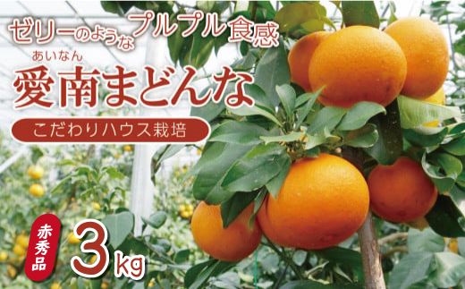 贈答用 愛南 まどんな 約 3kg 【 赤秀品 】 みかん 20000円 愛果28号 紅まどんな と 同品種 あいか アイカ 高級 人気 ブランド 柑橘 果物 フルーツ ハウス栽培 施設栽培 ギフト プレゼント 数量限定 期間限定 産地直送 国産 農家直送 特産品 お取り寄せ mikan 蜜柑 ミカン マドンナ スマイルカット 甘い おいしい ゼリー ぷるぷる 果樹園みどり 愛南町 愛媛県