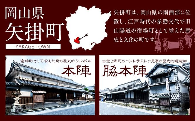 岡山県 矢掛町 応援寄附 1口 1000円【返礼品なし】