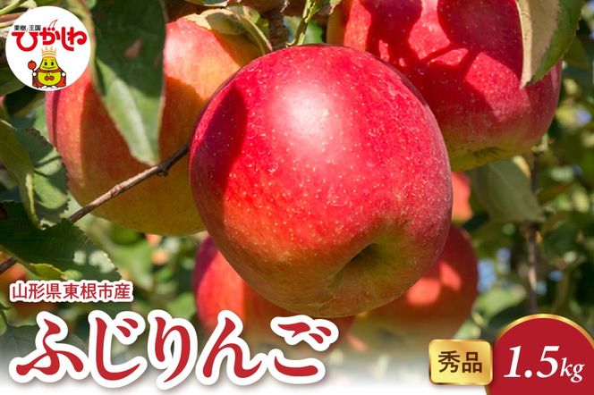 2025年産 ふじりんご 1.5kg（3-7玉） 秀品 山形県 東根市 hi082-015-2