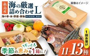 糸島産 魚 米 野菜 果物 厳選詰め合わせ MINORI BOX Lサイズ 糸島市 / emma.Inc / 米 魚 野菜 果物 詰め合わせ[AOP027]