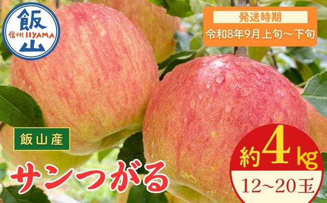 【先行予約丨2026年9月上旬より順次発送】サンつがる【約4kg(12〜20玉)】(At-004)丨長野県 飯山市 おすすめ ランキング おいしい 高評価 大人気 先取り 産地直送 りんご