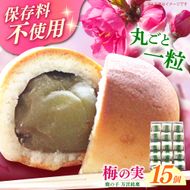【老舗の菓子屋 鹿の子】築上銘菓「 梅の実 」15個《築上町》【有限会社　御菓子司　鹿の子】 [ABAC004]