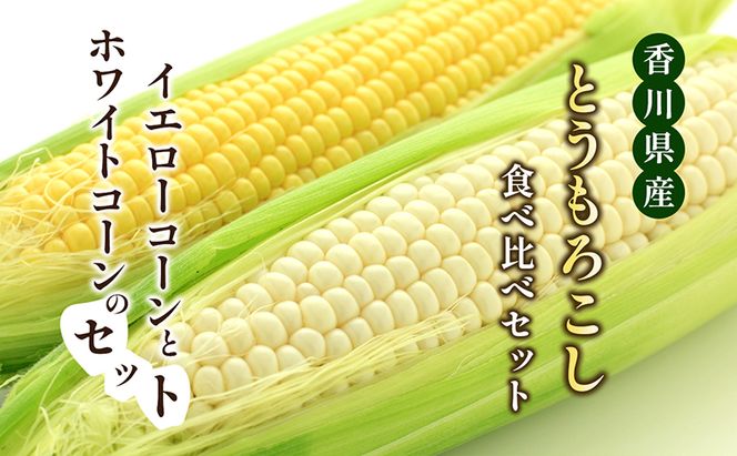 とうもろこし食べ比べセット　約5kg 野菜 野菜セット とうもろこし イエローコーン ホワイトコーン 詰合せ 