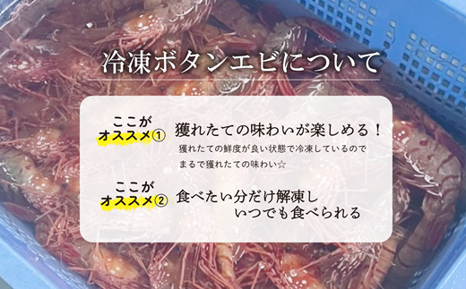 ＜ボタンエビ(冷凍)　1kg＞甘く豊かな風味！ 北海道 道産 国産 乙部町産 牡丹海老 海老 日本海 天然 魚介類 新鮮 希少 お刺身  漁師直送 産地直送 送料無料