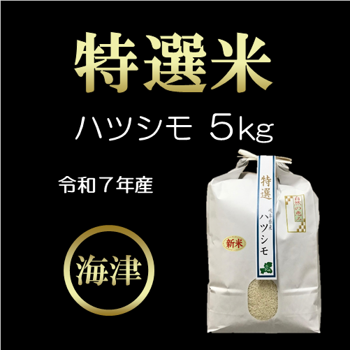 【令和7年産/白米】特選米ハツシモ（５kg）