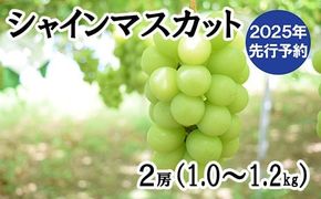 【2025年発送分 先行予約】シャインマスカット 1.0~1.2ｋｇ （２房） シャイン マスカット フルーツ 山梨県産 果物 くだもの ぶどう ブドウ 葡萄 種なし 種なし 産地直送 先行予約 富士川町