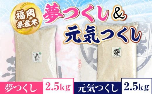 福岡産夢つくし2.5kg＆元気つくし2.5kg　AX035