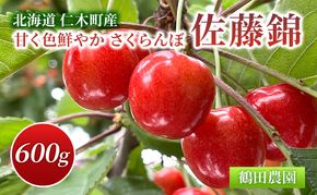 [先行受付] 数量限定 北海道 仁木町産 甘く色鮮やか さくらんぼ 佐藤錦 600g L～2Lサイズ 低農薬 有機肥料 高級品種 大人気 甘い サクランボ チェリー フルーツ 果物 果物類 仁木町 仁木 [鶴田農園]