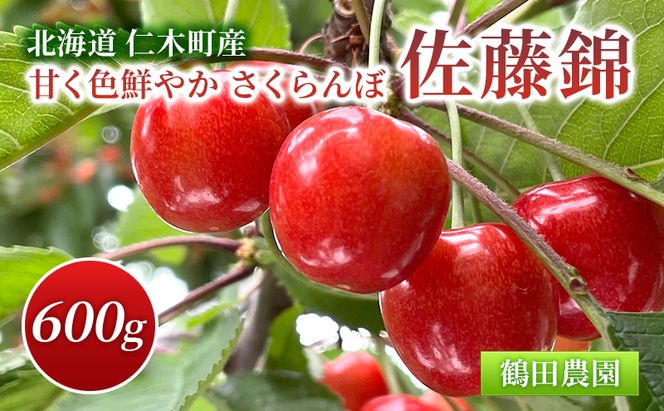 [先行受付] 数量限定 北海道 仁木町産 甘く色鮮やか さくらんぼ 佐藤錦 600g L～2Lサイズ 低農薬 有機肥料 高級品種 大人気 甘い サクランボ チェリー フルーツ 果物 果物類 仁木町 仁木 [鶴田農園]