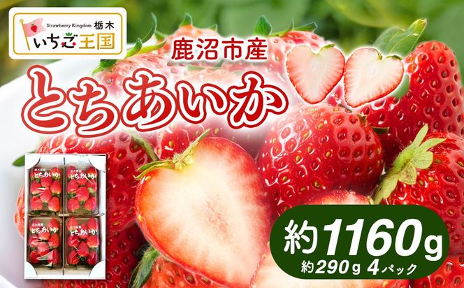 【先行予約】 いちご とちあいか 出会いの森いちご園 （290g×4パック） | いちご イチゴ 苺 栃木県 果物 くだもの フルーツ とちあいか 新鮮 贈答 ギフト デザート スイーツ ※2026年12月～発送
