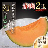 【2026年6月下旬より順次発送】【数量限定】1個獲り★幻のメロン　赤肉(2玉入り1箱)｜メロン 赤肉 赤肉メロン 果物 フルーツ くだもの 旬 幻のメロン 数量限定 先行予約 茨城県 行方市(AY-1)
