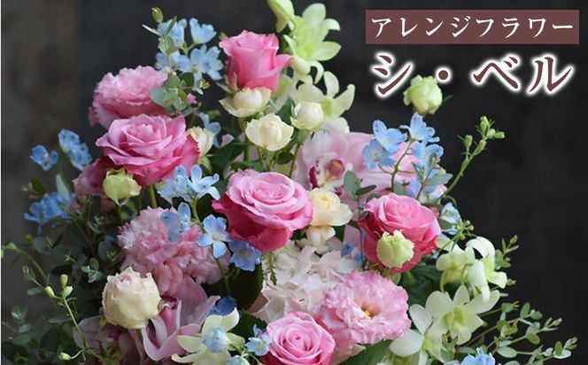 「シ・ベル」 誕生日祝い 結婚 ウエディング 送別 プレゼント 開店祝い 花 結婚祝い 季節 アレンジ フラワー 退職 発表会ギフト 結婚記念日 送料無料 記念日 お祝い 272230_BG108
