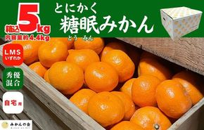 熟成 みかん 箱込5kg ( 内容量 4.4kg ) SMLサイズのいずれか 秀品 優品 混合 和歌山県産 産地直送 贈答用 【みかんの会】AX379